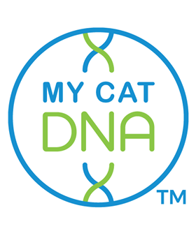 DNA testing https://www.mycatdna.com